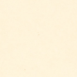 Vanille (Poli uniquement)