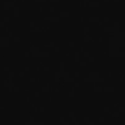 Iconic Black (Poli uniquement)